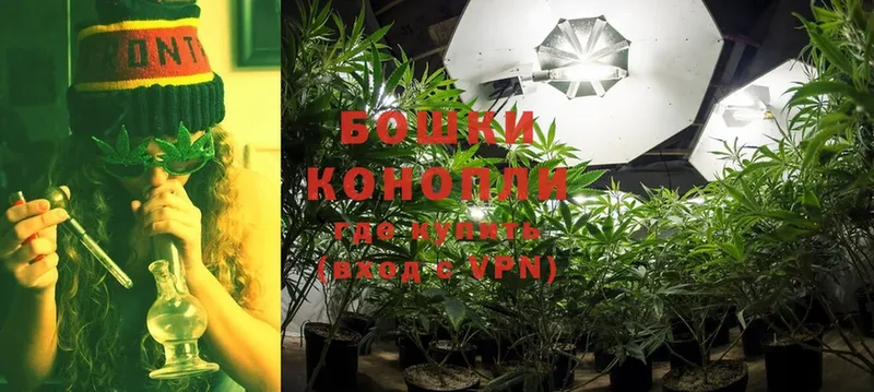 где можно купить наркотик  Белая Калитва  Бошки марихуана THC 21% 